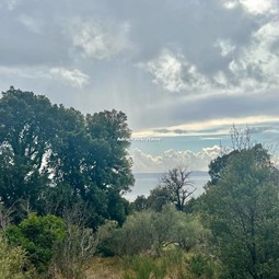 zemljište u Makarskoj