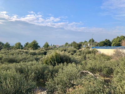 PLOT FOR SALE IN Makarska