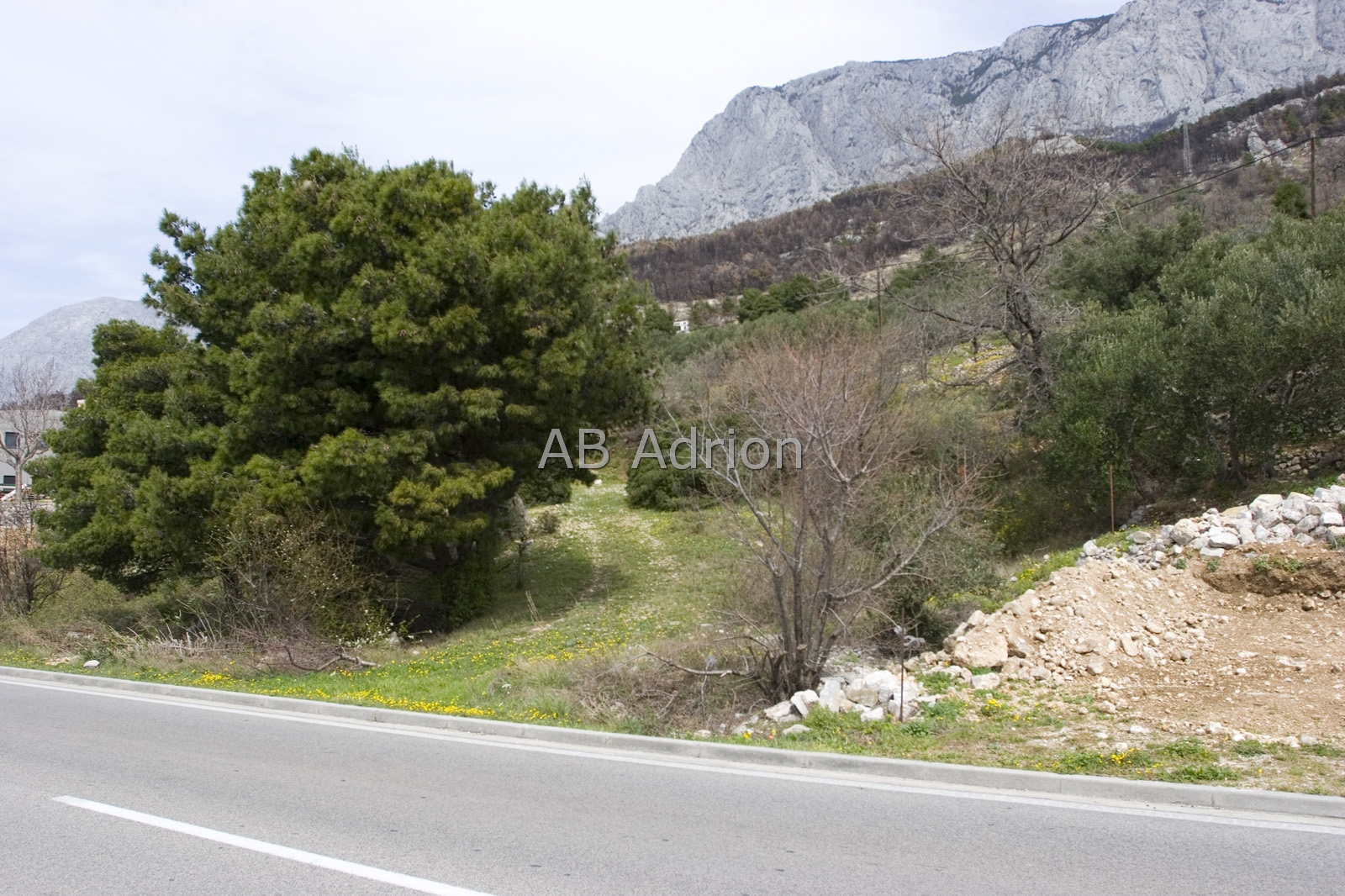 plot in Makarska 