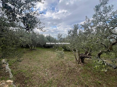 building in Makarska