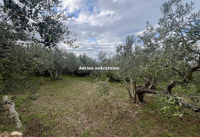 building in Makarska