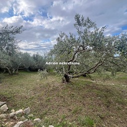 real estate in Makarska for sale