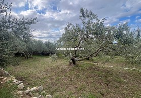 real estate in Makarska for sale