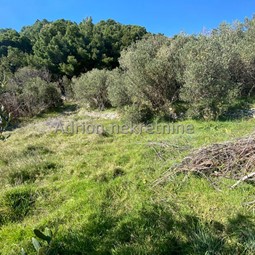 plot in Makarska 