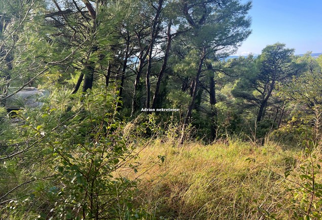 Građevinsko zemljište u Promajni