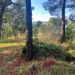 zemljište u Promanji